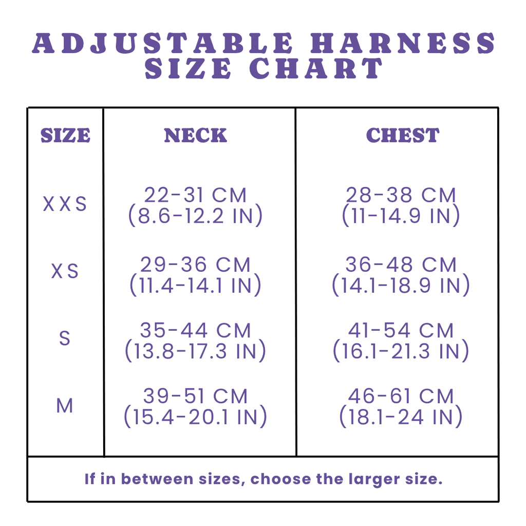 Everyday Harness | Butterflies