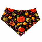 Fall Pumpkin Harvest | Snap On Bandana