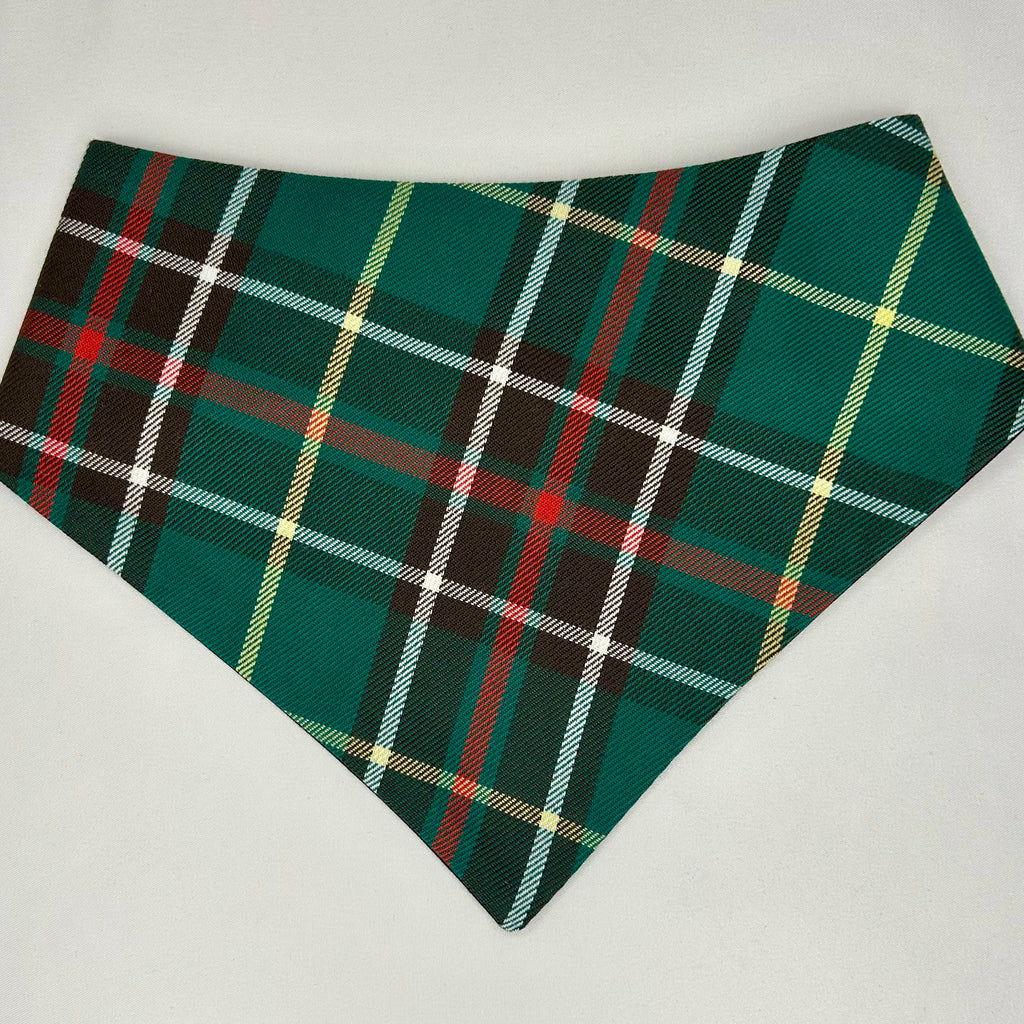 Tartan de Terre-Neuve | Bandana à boutons-pression