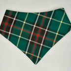 Tartan de Terre-Neuve | Bandana à boutons-pression