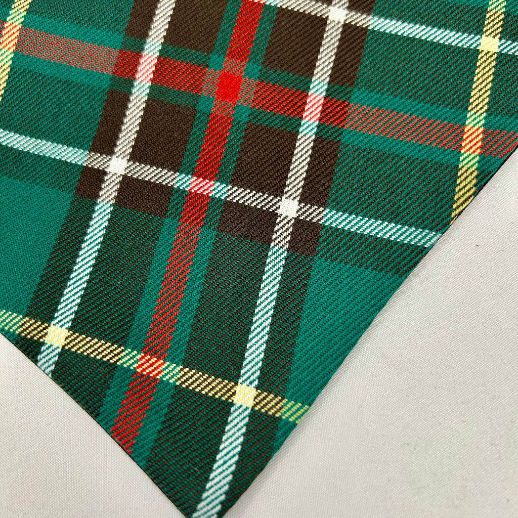 Tartan de Terre-Neuve | Bandana à boutons-pression