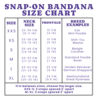 Fall Pumpkin Harvest | Snap On Bandana