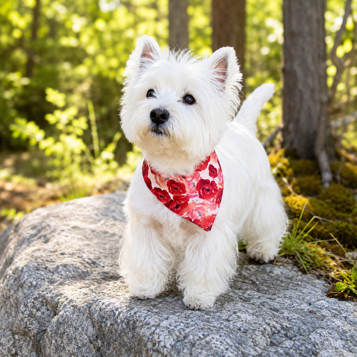 Poppy Field | Snap On Bandana