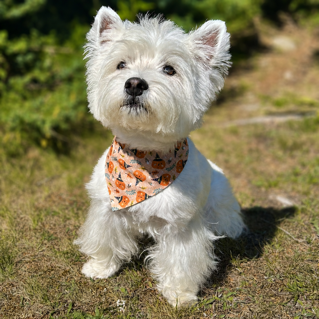 Fête au potager | Bandana à clipser