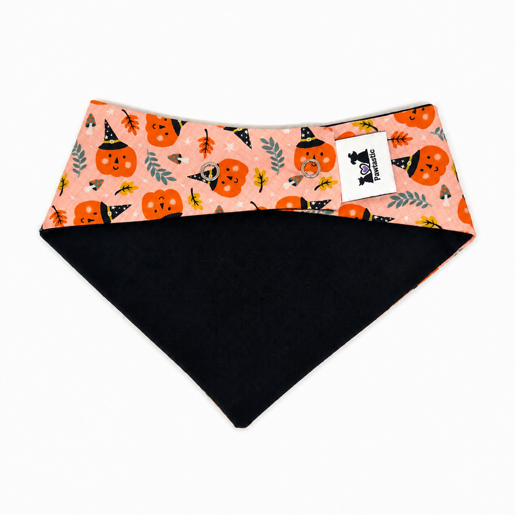 Fête au potager | Bandana à clipser