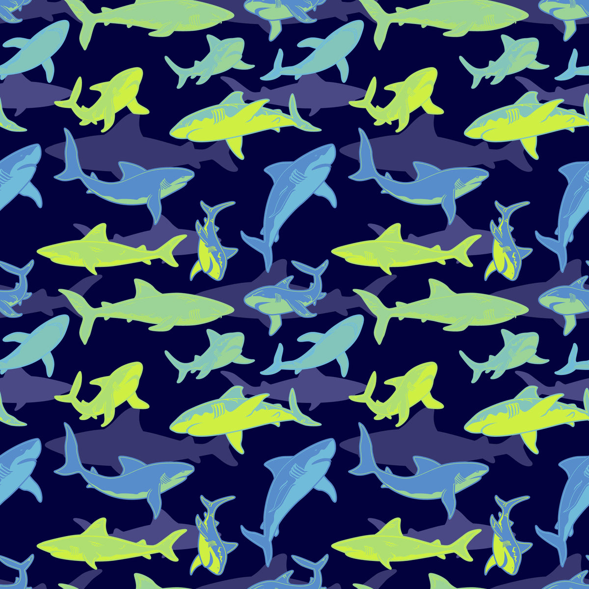 Signature Collar | Sharks